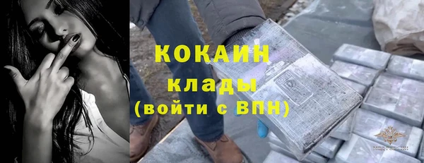 прущая мука Бородино