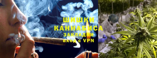 мяу мяу мука Белокуриха